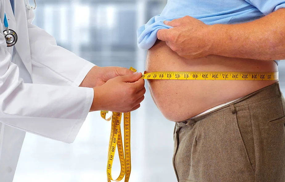 obesidade e resistencia insulina